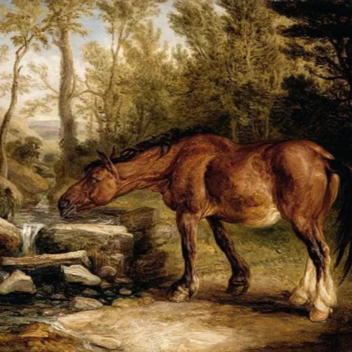 A Horse Drinking at a Stream