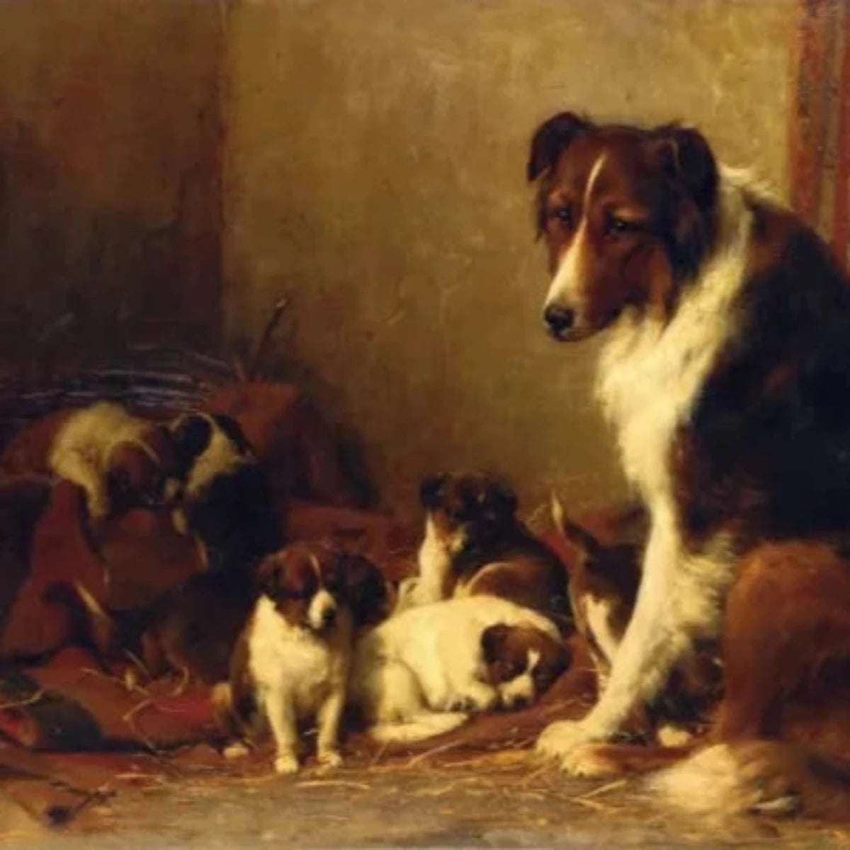 A Collie and Her Puppies