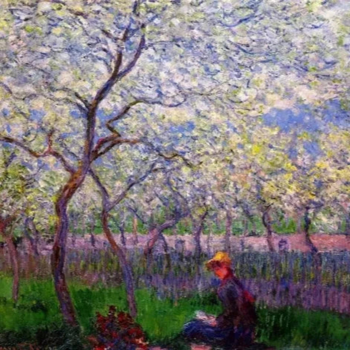 An Orchard in Spring