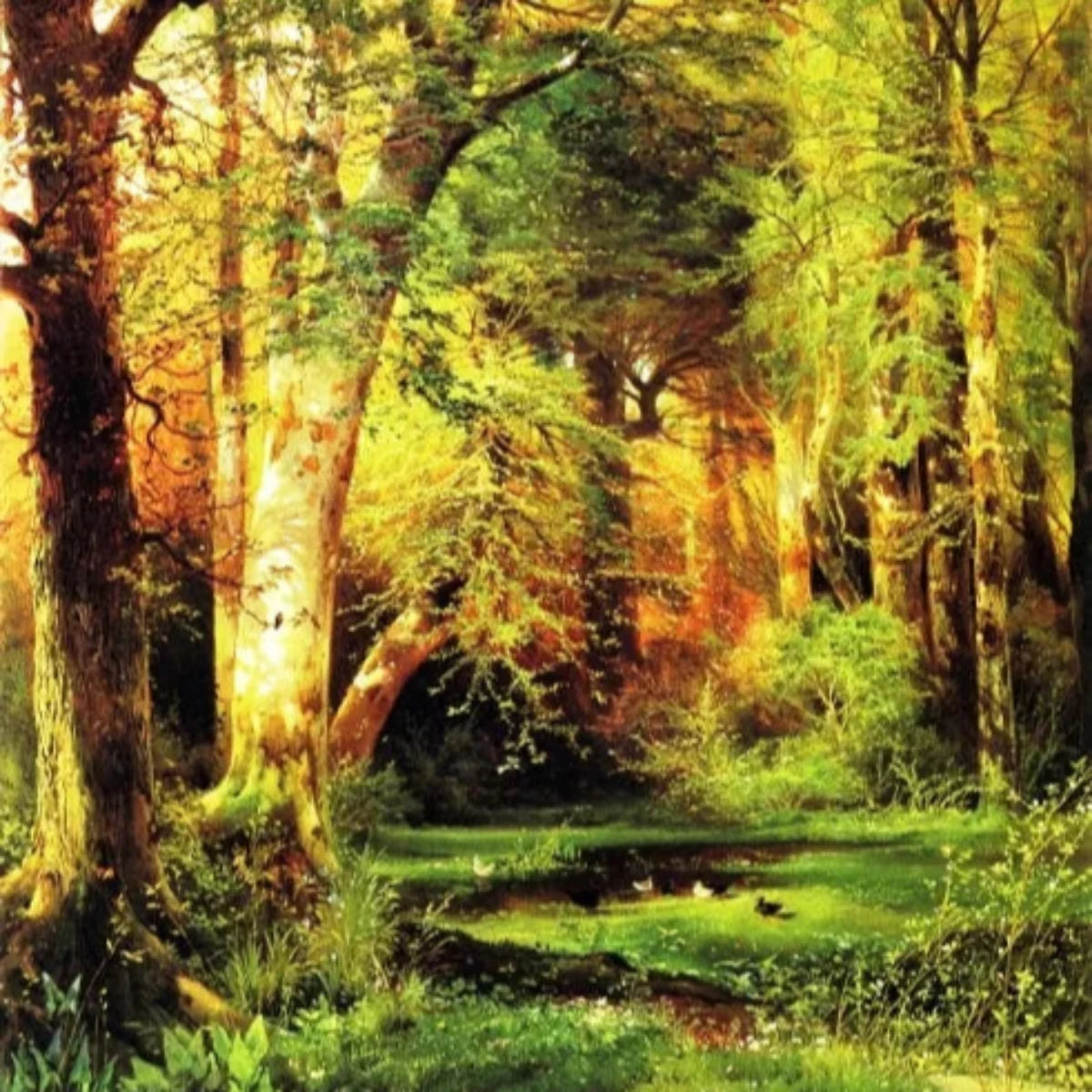 Forest Scene